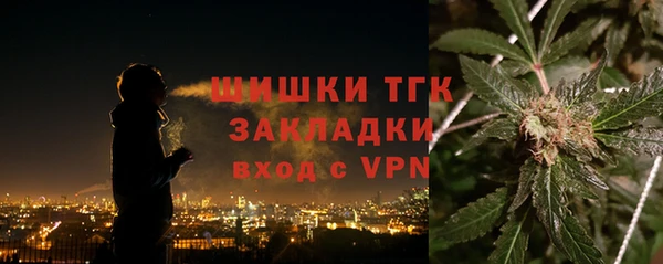 PSILOCYBIN Великий Новгород